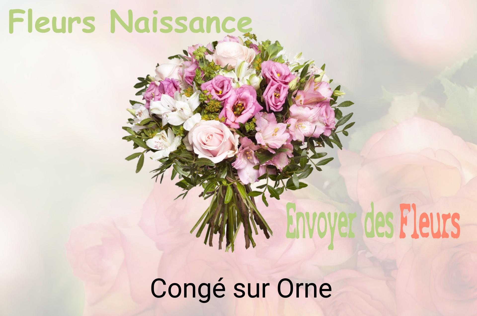 Bouquet de fleurs de naissance livré à Congé-sur-Orne